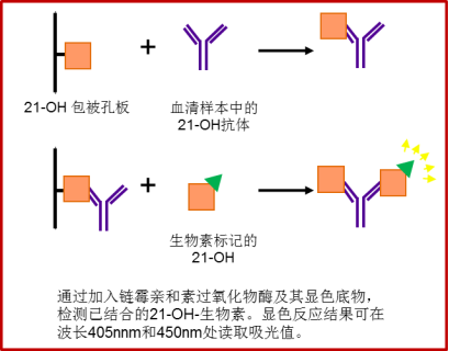 原理圖-RSR.jpg